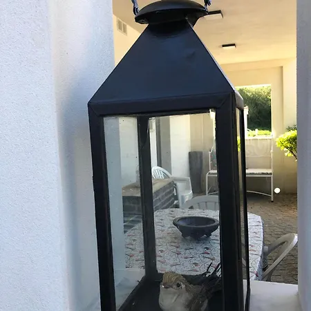 Semesterbostad Casa Da Avo Olinda Góis