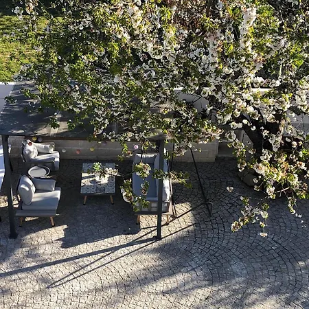 Casa Da Avo Olinda Góis