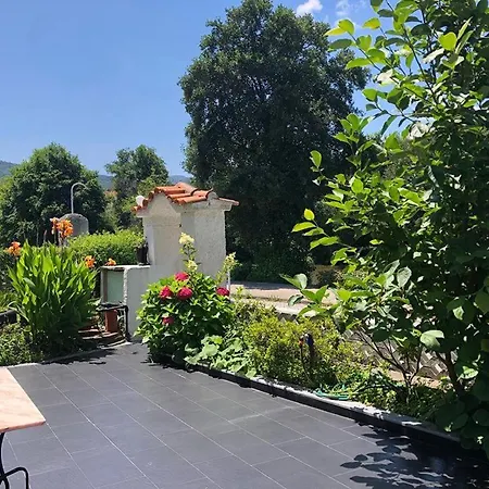 Casa Da Avó Olinda * Góis